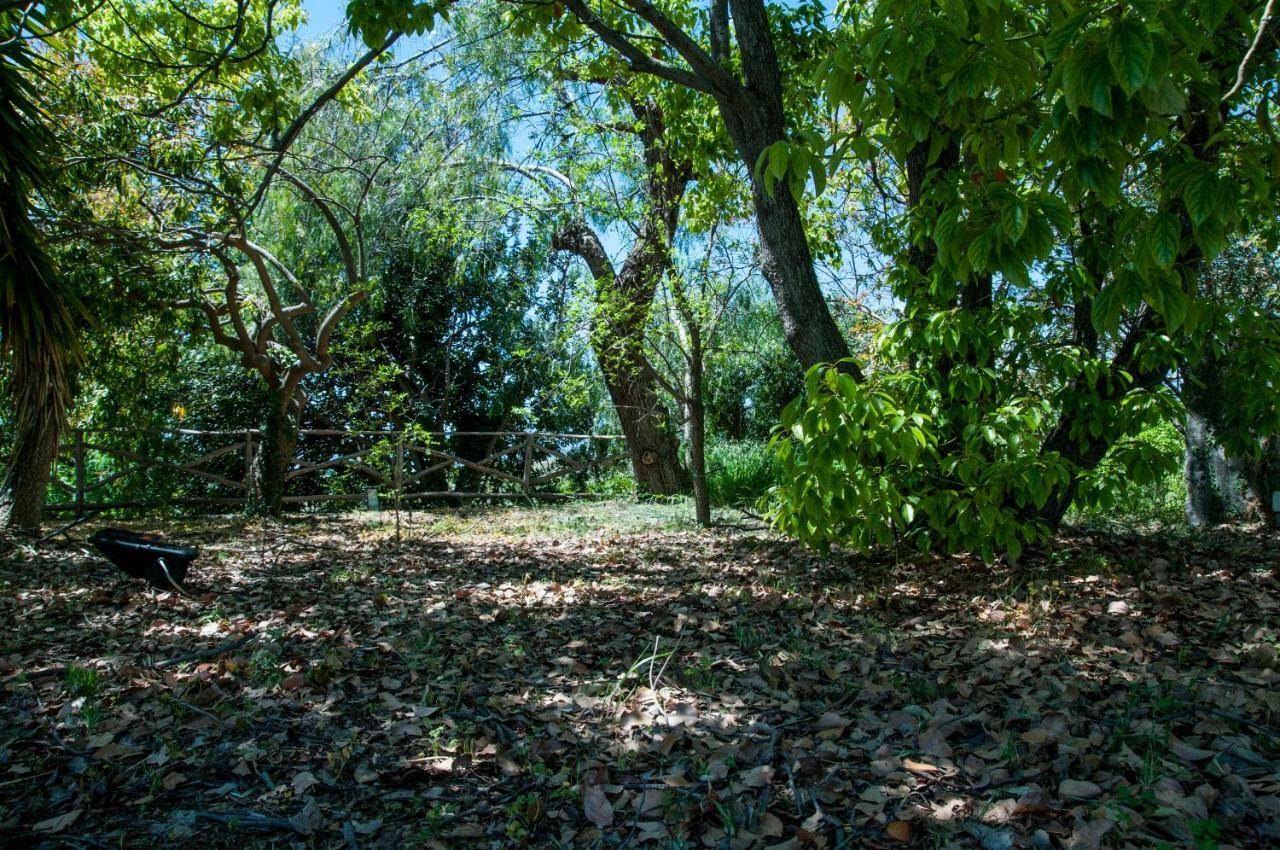 Antico Borgo Etneo Agriturismo Villa Calatabiano Dış mekan fotoğraf