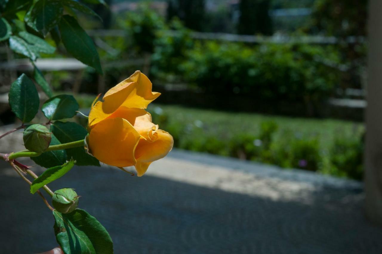 Antico Borgo Etneo Agriturismo Villa Calatabiano Dış mekan fotoğraf